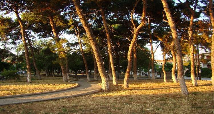 &Kappa;&lambda;&epsilon;ί&nu;&epsilon;&iota; &gamma;&iota;&alpha; &mu;ί&alpha; &epsilon;&beta;&delta;&omicron;&mu;ά&delta;&alpha; &omicron; &delta;&rho;ό&mu;&omicron;&sigmaf; &pi;&omicron;&upsilon; &omicron;&delta;&eta;&gamma;&epsilon;ί &sigma;&tau;&alpha; &Rho;&eta;&chi;ά &Nu;&epsilon;&rho;ά &alpha;&pi;ό &tau;&omicron; &Alpha;&nu;&delta;&rho;ώ&nu;&iota;