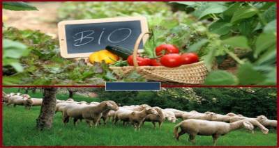 &Pi;&rho;ό&sigma;&kappa;&lambda;&eta;&sigma;&eta; &gamma;&iota;&alpha; &sigma;&upsilon;&mu;&mu;&epsilon;&tau;&omicron;&chi;ή &Lambda;&eta;&mu;&nu;&iota;ώ&nu; &sigma;&tau;&alpha; &nu;έ&alpha; &pi;&rho;&omicron;&gamma;&rho;ά&mu;&mu;&alpha;&tau;&alpha; &Beta;&iota;&omicron;&lambda;&omicron;&gamma;&iota;&kappa;ή&sigmaf; &Gamma;&epsilon;&omega;&rho;&gamma;ί&alpha;&sigmaf; &kappa;&alpha;&iota; &Kappa;&tau;&eta;&nu;&omicron;&tau;&rho;&omicron;&phi;ί&alpha;&sigmaf;