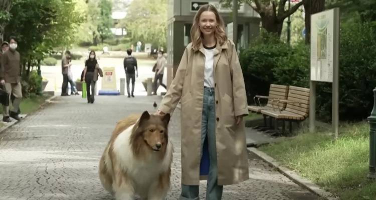 Ο Ιάπωνας που ξόδεψε 20.000 δολάρια για να γίνει κόλεϊ, πήγε την πρώτη του βόλτα | Εκανε τούμπες στο πάρκο [βίντεο]