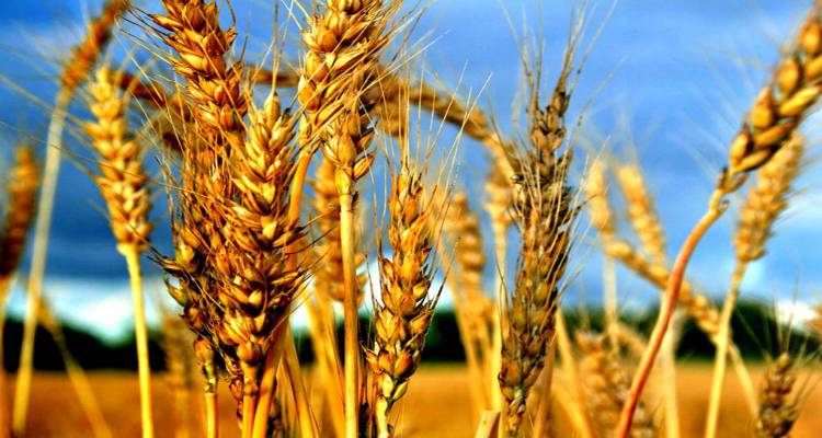 &Epsilon;&nu;&eta;&mu;&epsilon;&rho;&omega;&tau;&iota;&kappa;ή &epsilon;&kappa;&delta;ή&lambda;&omega;&sigma;&eta; &sigma;&tau;&eta; &Lambda;ή&mu;&nu;&omicron; &alpha;&pi;ό &tau;&eta;&nu; &Pi;&epsilon;&rho;&iota;&phi;&epsilon;&rho;&epsilon;&iota;&alpha;&kappa;ή &Epsilon;&tau;&alpha;&iota;&rho;&epsilon;ί&alpha; &Alpha;&nu;ά&pi;&tau;&upsilon;&xi;&eta;&sigmaf; &Beta;&omicron;&rho;&epsilon;ί&omicron;&upsilon; &Alpha;&iota;&gamma;&alpha;ί&omicron;&upsilon;