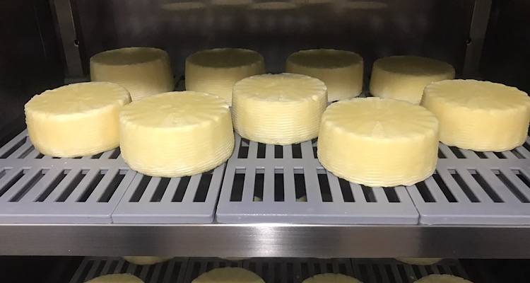 Raw Cheese: &Tau;&upsilon;&rho;ί &alpha;&pi;ό &mu;&eta; &pi;&alpha;&sigma;&tau;&epsilon;&rho;&iota;&omega;&mu;έ&nu;&omicron; &gamma;ά&lambda;&alpha; &gamma;&iota;&alpha; &pi;&rho;ώ&tau;&eta; &phi;&omicron;&rho;ά &sigma;&tau;&eta;&nu; &Epsilon;&lambda;&lambda;ά&delta;&alpha; &ndash; &Tau;&alpha; &pi;&lambda;&epsilon;&omicron;&nu;&epsilon;&kappa;&tau;ή&mu;&alpha;&tau;&alpha;