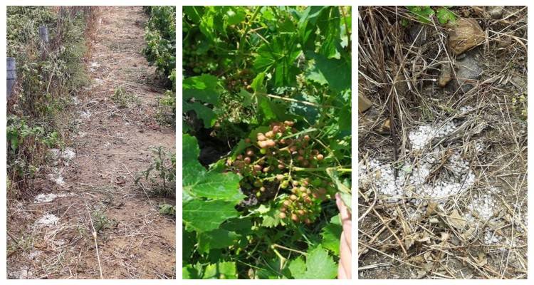 Έ&rho;&iota;&xi;&epsilon; &chi;&alpha;&lambda;ά&zeta;&iota; &sigma;&epsilon; &pi;&epsilon;&rho;&iota;&omicron;&chi;έ&sigmaf; &tau;&eta;&sigmaf; &Lambda;ή&mu;&nu;&omicron;&upsilon; (photos)