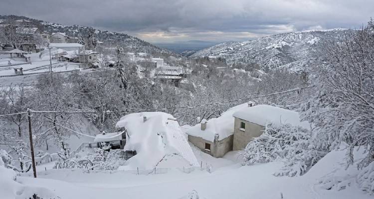 &Kappa;&alpha;&kappa;&omicron;&kappa;&alpha;&iota;&rho;ί&alpha; &laquo;&Delta;&iota;&omicron;&mu;ή&delta;&eta;&sigmaf;&raquo;: &Alpha;&gamma;&omega;&nu;ί&alpha; &gamma;&iota;&alpha; 24&chi;&rho;&omicron;&nu;&eta; &alpha;&gamma;&nu;&omicron;&omicron;ύ&mu;&epsilon;&nu;&eta; &sigma;&tau;&iota;&sigmaf; &Sigma;έ&rho;&rho;&epsilon;&sigmaf;
