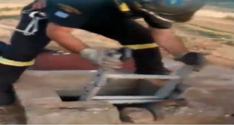 Λήμνος: Τυχερά δυο μικρά γατάκια που έπεσαν σε πηγάδι