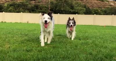 &Delta;ή&mu;&omicron;&sigmaf; &Lambda;ή&mu;&nu;&omicron;&upsilon;:  &Epsilon;&nu;&eta;&mu;έ&rho;&omega;&sigma;&eta; &pi;&rho;&omicron;&sigmaf; &tau;&omicron;&upsilon;&sigmaf; &iota;&delta;&iota;&omicron;&kappa;&tau;ή&tau;&epsilon;&sigmaf;  &zeta;ώ&omega;&nu; &sigma;&upsilon;&nu;&tau;&rho;&omicron;&phi;&iota;ά&sigmaf;