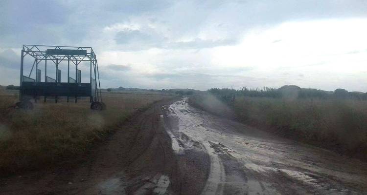 Αναβάλλονται οι ιπποδρομίες  στο Κοντοπούλι προς τιμήν του Αγ. Παντελεήμονα | Ορίστηκε νέα ημερομηνία