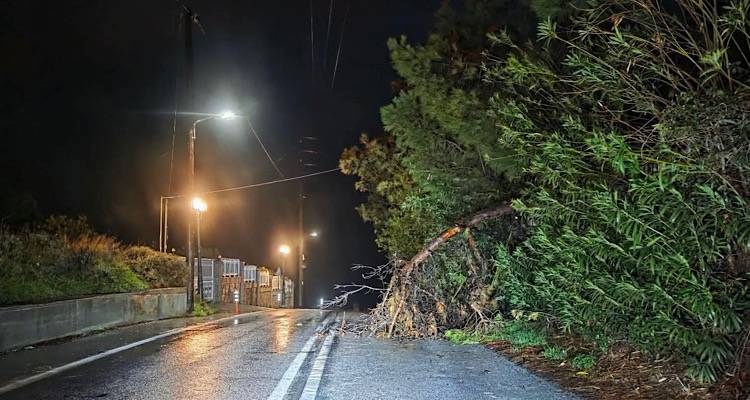&Mu;ύ&rho;&iota;&nu;&alpha;: &Sigma;&pi;&alpha;&sigma;&mu;έ&nu;&omicron; &kappa;&lambda;&alpha;&delta;ί &mu;&epsilon;&tau;ά &tau;&alpha; &Rho;&eta;&chi;ά &Nu;&epsilon;&rho;ά έ&kappa;&lambda;&epsilon;&iota;&sigma;&epsilon; &tau;&omicron; &rho;&epsilon;ύ&mu;&alpha; &pi;&rho;&omicron;&sigmaf; &Kappa;ά&sigma;&pi;&alpha;&kappa;&alpha;