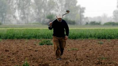 Σύνταξη στα 62 για τους αγρότες | Δυνατότητα εξαγοράς πλασματικών ετών