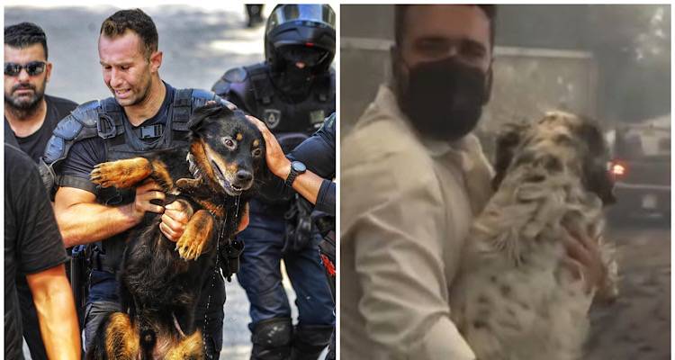 Ά&nu;&theta;&rho;&omega;&pi;&omicron;&sigmaf;: &Iota;&kappa;&alpha;&nu;ό&sigmaf; &gamma;&iota;&alpha; &tau;&omicron; &chi;&epsilon;&iota;&rho;ό&tau;&epsilon;&rho;&omicron; &alpha;&lambda;&lambda;ά &kappa;&alpha;&iota; &gamma;&iota;&alpha; &tau;&omicron; &kappa;&alpha;&lambda;ύ&tau;&epsilon;&rho;&omicron;