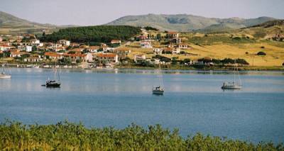 &Nu;. &Kappa;&omicron;ύ&tau;&alpha;&lambda;&eta;: &Alpha;&pi;ά&nu;&tau;&eta;&sigma;&eta; &Pi;&rho;&omicron;&beta;&alpha;&tau;ί&delta;&eta; &sigma;&epsilon; &sigma;&chi;ό&lambda;&iota;&omicron; &Pi;&alpha;&lambda;&alpha;&tau;&iota;&alpha;&nu;&omicron;ύ &mu;&epsilon; &phi;ό&nu;&tau;&omicron; &tau;&omicron; &Kappa;&lambda;&eta;&rho;&omicron;&delta;ό&tau;&eta;&mu;&alpha; &Delta;&omega;&rho;&epsilon;ά&sigmaf; &Pi;&epsilon;&tau;&rho;ί&delta;&eta;