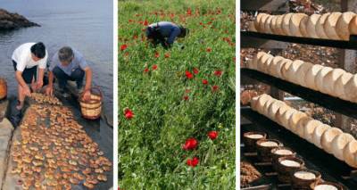 &laquo;Terra Lemnia: &Alpha;&gamma;&rho;&omicron;-&delta;&iota;&alpha;&tau;&rho;&omicron;&phi;&iota;&kappa;ή &kappa;&lambda;&eta;&rho;&omicron;&nu;&omicron;&mu;&iota;ά &amp; &tau;&omicron;&pi;&iota;&kappa;ή &alpha;&nu;ά&pi;&tau;&upsilon;&xi;&eta;&raquo;: &Epsilon;&kappa;&delta;ή&lambda;&omega;&sigma;&eta; &tau;&eta;&sigmaf; &laquo;&Alpha;&nu;&epsilon;&mu;ό&epsilon;&sigma;&sigma;&alpha;&sigmaf;&raquo; &sigma;&tau;&eta;&nu; &Pi;&rho;&omicron;ϊ&sigma;&tau;&omicron;&rho;&iota;&kappa;ή &Mu;ύ&rho;&iota;&nu;&alpha;