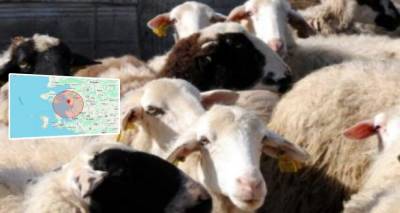 &Sigma;&upsilon;&nu;&alpha;&gamma;&epsilon;&rho;&mu;ό&sigmaf; &gamma;&iota;&alpha; &tau;&omicron;&nu; &Alpha;&phi;&theta;ώ&delta;&eta; &Pi;&upsilon;&rho;&epsilon;&tau;ό: Έ&kappa;&tau;&alpha;&kappa;&tau;&alpha; &mu;έ&tau;&rho;&alpha; &pi;&rho;ό&lambda;&eta;&psi;&eta;&sigmaf; &alpha;&pi;ό &tau;&eta;&nu; &Pi;&epsilon;&rho;&iota;&phi;έ&rho;&epsilon;&iota;&alpha; &Beta;&omicron;&rho;&epsilon;ί&omicron;&upsilon; &Alpha;&iota;&gamma;&alpha;ί&omicron;&upsilon; &lambda;ό&gamma;&omega; &kappa;&rho;&omicron;ύ&sigma;&mu;&alpha;&tau;&omicron;&sigmaf; &sigma;&tau;&eta;&nu; &Tau;&omicron;&upsilon;&rho;&kappa;ί&alpha;