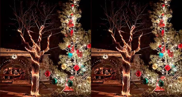 Οι «Νέοι των Καμινίων», ανάβουν το δέντρο και φέρνουν τα Χριστούγεννα!