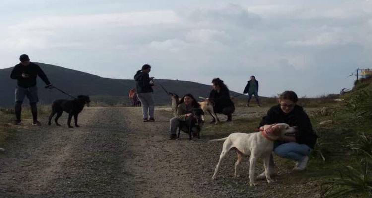 &Pi;&rho;ά&xi;&eta; &alpha;&gamma;ά&pi;&eta;&sigmaf; &alpha;&pi;ό &tau;&omicron;&upsilon; &phi;&omicron;&iota;&tau;&eta;&tau;έ&sigmaf; &tau;&eta;&sigmaf; &Lambda;ή&mu;&nu;&omicron;&upsilon; | Έ&beta;&gamma;&alpha;&lambda;&alpha;&nu; &beta;ό&lambda;&tau;&alpha; &tau;&alpha; &alpha;&delta;έ&sigma;&pi;&omicron;&tau;&alpha; (photos)