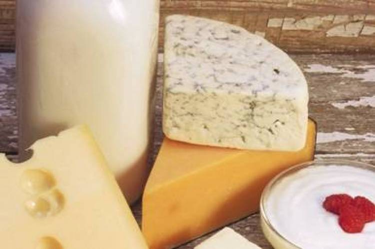 &Gamma;&alpha;&lambda;&alpha;&kappa;&tau;&omicron;&kappa;&omicron;&mu;&iota;&kappa;ά &kappa;&alpha;&tau;ά &tau;&omicron;&upsilon; &epsilon;&gamma;&kappa;&epsilon;&phi;&alpha;&lambda;&iota;&kappa;&omicron;ύ