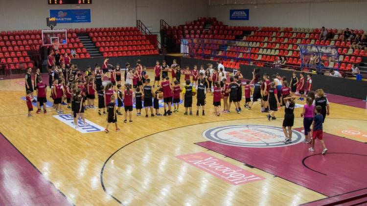 Ή&phi;&alpha;&iota;&sigma;&tau;&omicron;&sigmaf; &Lambda;ή&mu;&nu;&omicron;&upsilon;: &Xi;&epsilon;&kappa;&iota;&nu;&omicron;ύ&nu; &omicron;&iota; &epsilon;&gamma;&gamma;&rho;&alpha;&phi;έ&sigmaf; &sigma;&tau;&eta;&nu; &alpha;&kappa;&alpha;&delta;&eta;&mu;ί&alpha; &gamma;&iota;&alpha; &tau;&eta; &sigma;&epsilon;&zeta;ό&nu; 2019-20