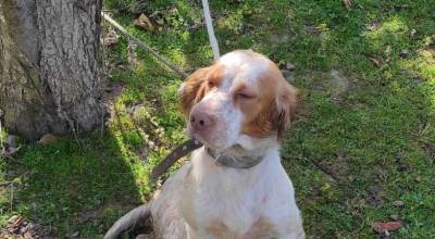 &Lambda;ή&mu;&nu;&omicron;&sigmaf;: &Mu;ή&pi;&omega;&sigmaf; &tau;&omicron; &psi;ά&chi;&nu;&epsilon;&tau;&epsilon;;