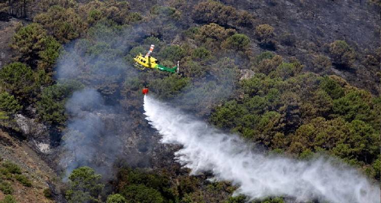 &Iota;&sigma;&pi;&alpha;&nu;ί&alpha;: &Pi;ά&nu;&omega; &alpha;&pi;ό 35.000 &sigma;&tau;&rho;έ&mu;&mu;&alpha;&tau;&alpha; &delta;ά&sigma;&omicron;&upsilon;&sigmaf; &kappa;ά&eta;&kappa;&alpha;&nu; &sigma;&tau;&eta;&nu; &Alpha;&nu;&delta;&alpha;&lambda;&omicron;&upsilon;&sigma;ί&alpha;