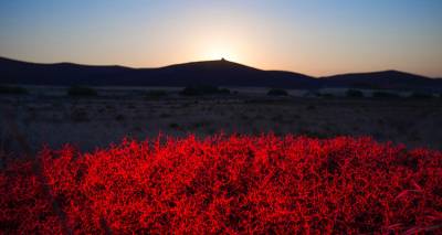 &Omicron; &phi;&omega;&tau;&omicron;&gamma;&rho;ά&phi;&omicron;&sigmaf; &Chi;&rho;ή&sigma;&tau;&omicron;&sigmaf; &Delta;&eta;&mu;&eta;&tau;&rho;ί&omicron;&upsilon; &phi;&omega;&tau;&omicron;&gamma;&rho;&alpha;&phi;ί&zeta;&epsilon;&iota; &mu;&omicron;&nu;&alpha;&delta;&iota;&kappa;ά &tau;&eta;&nu; &pi;&alpha;&tau;&rho;ί&delta;&alpha; &tau;&omicron;&upsilon; &Lambda;ή&mu;&nu;&omicron;