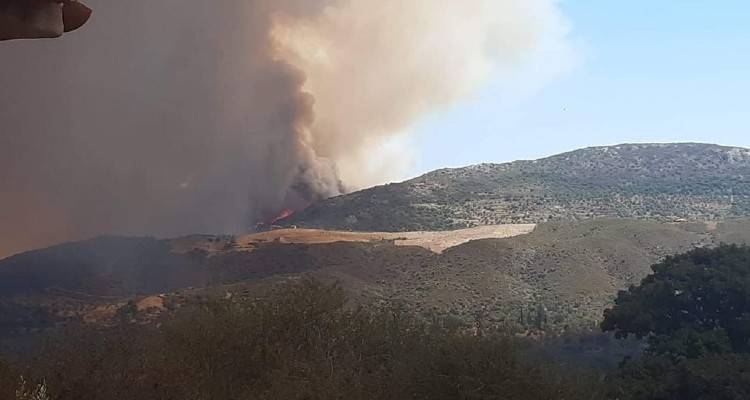 &Mu;&alpha;ί&nu;&epsilon;&tau;&alpha;&iota; &eta; &phi;&omega;&tau;&iota;ά &sigma;&tau;&eta; &Mu;ά&nu;&eta; | &Beta;ί&nu;&tau;&epsilon;&omicron; &delta;&epsilon;ί&chi;&nu;&epsilon;&iota; &tau;&eta;&nu; &pi;ύ&rho;&iota;&nu;&eta; &kappa;ό&lambda;&alpha;&sigma;&eta;