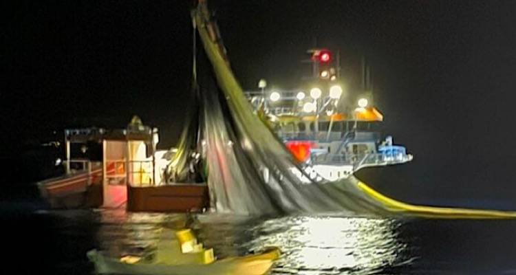 Συναγερμός στο Θρακικό Πέλαγος: Πυροβολισμοί από τουρκικά αλιευτικά μετά από ένταση με Έλληνες ψαράδες