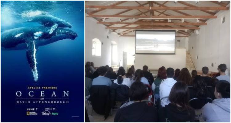 Οι μαθητές του ΓΕΛ Μούδρου «βούτηξαν» στον κόσμο των ωκεανών με τον David Attenborough