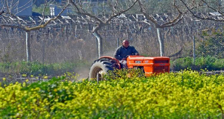 Nέ&alpha; &pi;&rho;&omicron;&kappa;ή&rho;&upsilon;&xi;&eta; 120 &epsilon;&kappa;&alpha;&tau;. &epsilon;&upsilon;&rho;ώ &gamma;&iota;&alpha; &beta;&iota;&omicron;&lambda;&omicron;&gamma;&iota;&kappa;ή &gamma;&epsilon;&omega;&rho;&gamma;ί&alpha;