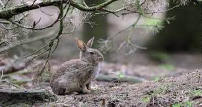 &Delta;ή&mu;&omicron;&sigmaf; &Lambda;ή&mu;&nu;&omicron;&upsilon;: &Xi;&epsilon;&kappa;&iota;&nu;ά&nu;&epsilon; &omicron;&iota; &delta;&eta;&lambda;ώ&sigma;&epsilon;&iota;&sigmaf; &gamma;&iota;&alpha; &zeta;&eta;&mu;&iota;έ&sigmaf; &sigma;&tau;&alpha; &sigma;&iota;&tau;&eta;&rho;ά &alpha;&pi;ό &alpha;&gamma;&rho;&iota;&omicron;&kappa;&omicron;ύ&nu;&epsilon;&lambda;&alpha;