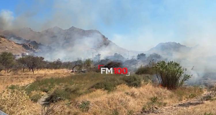 &Phi;&omega;&tau;&iota;ά &sigma;&tau;&omicron; &Theta;ά&nu;&omicron;&sigmaf; | &Nu;&epsilon;ό&tau;&epsilon;&rho;&alpha; &sigma;&tau;&omicron;&iota;&chi;&epsilon;ί&alpha;: &Gamma;&iota;&alpha; &pi;&rho;ό&kappa;&lambda;&eta;&sigma;&eta; &pi;&upsilon;&rho;&kappa;&alpha;&gamma;&iota;ά&sigmaf; &alpha;&pi;ό &alpha;&mu;έ&lambda;&epsilon;&iota;&alpha; &sigma;&upsilon;&nu;&epsilon;&lambda;ή&phi;&theta;&eta; &omicron; &Beta;&alpha;&sigma;ί&lambda;&eta;&sigmaf; &Alpha;&rho;&chi;&omicron;&nu;&tau;ί&delta;&eta;&sigmaf;