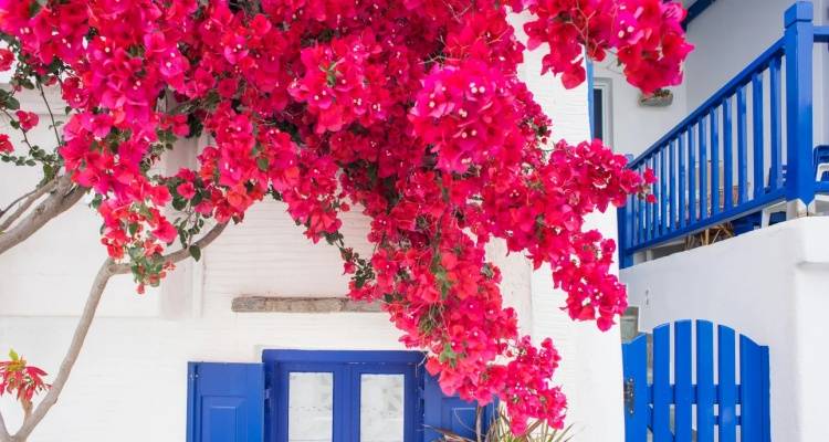 &Upsilon;&Pi;&Epsilon;&Nu;: &Kappa;&alpha;&mu;ί&alpha; &kappa;&alpha;&tau;&alpha;&sigma;&kappa;&epsilon;&upsilon;ή 25 &mu;. &alpha;&pi;ό &tau;&eta;&nu; &alpha;&kappa;&tau;&omicron;&gamma;&rho;&alpha;&mu;&mu;ή | &Tau;&iota; &alpha;&lambda;&lambda;ά&zeta;&epsilon;&iota; &sigma;&tau;&omicron;&nu; &tau;&omicron;&upsilon;&rho;&iota;&sigma;&mu;ό