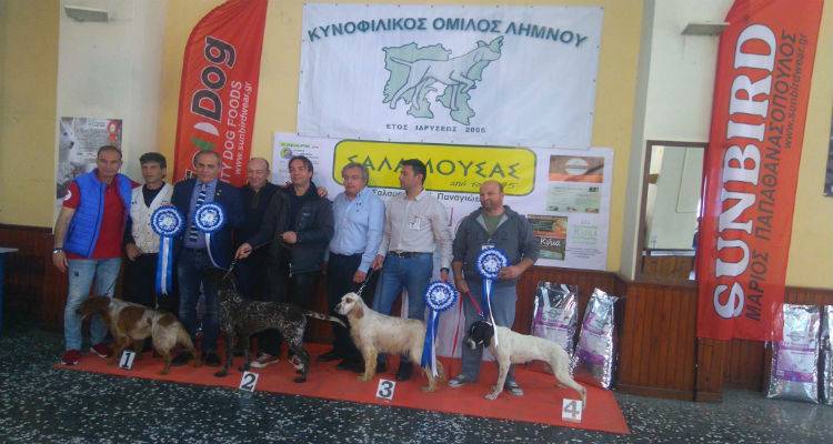 Λήμνος: Τα επίσημα αποτελέσματα της 1ης Εθνικής Έκθεσης Μορφολογίας σκύλων (photos)