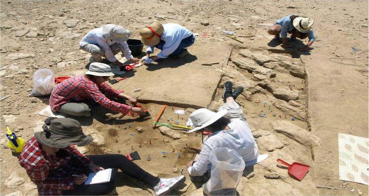 5 &theta;έ&sigma;&epsilon;&iota;&sigmaf; &epsilon;&rho;&gamma;&alpha;&sigma;ί&alpha;&sigmaf; &sigma;&tau;&eta;&nu; &epsilon;&phi;&omicron;&rho;&epsilon;ί&alpha; &alpha;&rho;&chi;&alpha;&iota;&omicron;&tau;ή&tau;&omega;&nu; &Lambda;έ&sigma;&beta;&omicron;&upsilon; &gamma;&iota;&alpha; &epsilon;&rho;&gamma;&alpha;&sigma;ί&epsilon;&sigmaf; &sigma;&tau;&eta;&nu; &Pi;&omicron;&lambda;&iota;ό&chi;&nu;&eta;