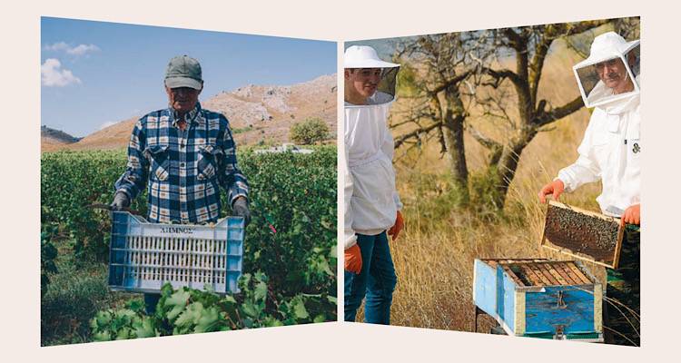 &Kappa;&alpha;&theta;&eta;&mu;&epsilon;&rho;&iota;&nu;ή: &Nu;έ&epsilon;&sigmaf; &kappa;&omicron;&lambda;&alpha;&kappa;&epsilon;&upsilon;&tau;&iota;&kappa;έ&sigmaf; &alpha;&nu;&alpha;&phi;&omicron;&rho;έ&sigmaf; &sigma;&tau;&omicron; &mu;έ&lambda;&iota; &kappa;&alpha;&iota; &tau;&alpha; &kappa;&rho;&alpha;&sigma;&iota;ά &tau;&eta;&sigmaf; &Lambda;ή&mu;&nu;&omicron;&upsilon; &pi;&omicron;&upsilon; &beta;&rho;&alpha;&beta;&epsilon;ύ&tau;&eta;&kappa;&alpha;&nu; &alpha;&pi;ό &tau;&omicron;&nu; &laquo;&Gamma;&alpha;&sigma;&tau;&rho;&omicron;&nu;ό&mu;&omicron;&raquo;