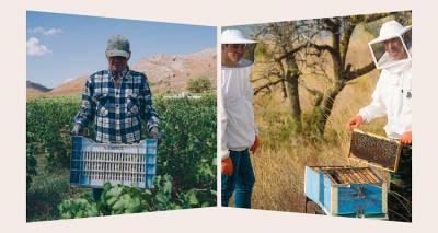 &Kappa;&alpha;&theta;&eta;&mu;&epsilon;&rho;&iota;&nu;ή: &Nu;έ&epsilon;&sigmaf; &kappa;&omicron;&lambda;&alpha;&kappa;&epsilon;&upsilon;&tau;&iota;&kappa;έ&sigmaf; &alpha;&nu;&alpha;&phi;&omicron;&rho;έ&sigmaf; &sigma;&tau;&omicron; &mu;έ&lambda;&iota; &kappa;&alpha;&iota; &tau;&alpha; &kappa;&rho;&alpha;&sigma;&iota;ά &tau;&eta;&sigmaf; &Lambda;ή&mu;&nu;&omicron;&upsilon; &pi;&omicron;&upsilon; &beta;&rho;&alpha;&beta;&epsilon;ύ&tau;&eta;&kappa;&alpha;&nu; &alpha;&pi;ό &tau;&omicron;&nu; &laquo;&Gamma;&alpha;&sigma;&tau;&rho;&omicron;&nu;ό&mu;&omicron;&raquo;