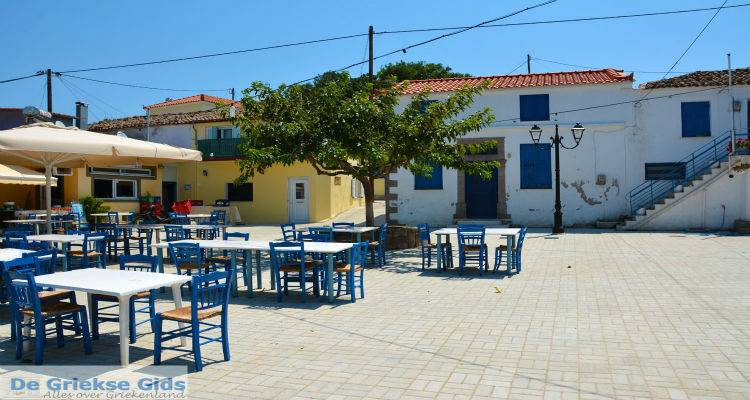 &Kappa;&alpha;&mu;ί&nu;&iota;&alpha;: &Tau;&alpha; &alpha;&pi;&omicron;&tau;&epsilon;&lambda;έ&sigma;&mu;&alpha;&tau;&alpha; &tau;&eta;&sigmaf; &tau;&omicron;&pi;&iota;&kappa;ή&sigmaf; &kappa;&omicron;&iota;&nu;ό&tau;&eta;&tau;&alpha;&sigmaf;