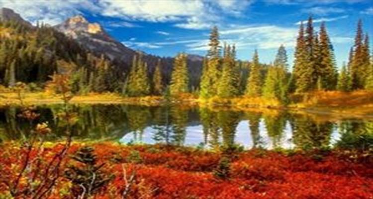 Σήμερα ξεκινά και επίσημα το φθινόπωρο