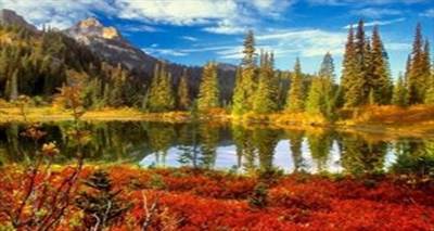 Σήμερα ξεκινά και επίσημα το φθινόπωρο