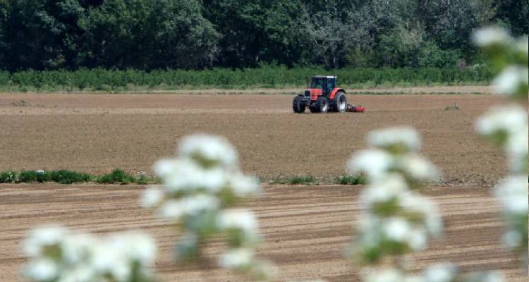 &Alpha;&Sigma;&Epsilon;&Pi;: &Pi;&rho;&omicron; &tau;&omega;&nu; &pi;&upsilon;&lambda;ώ&nu; 120 &pi;&rho;&omicron;&sigma;&lambda;ή&psi;&epsilon;&iota;&sigmaf; &sigma;&tau;&omicron;&nu; &Epsilon;&Lambda;&Gamma;&Alpha;