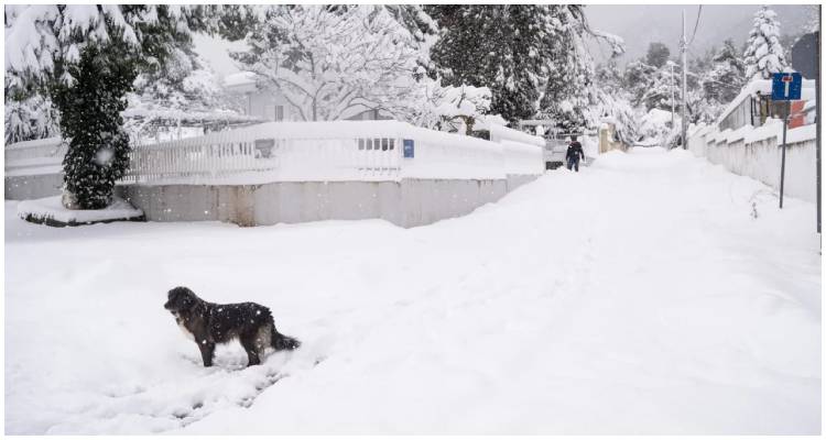 &Pi;&omicron;ύ &theta;&alpha; &chi;&iota;&omicron;&nu;ί&zeta;&epsilon;&iota; &sigma;ή&mu;&epsilon;&rho;&alpha;, &mu;έ&chi;&rho;&iota; &pi;ό&tau;&epsilon; &theta;&alpha; έ&chi;&epsilon;&iota; &phi;&alpha;&iota;&nu;ό&mu;&epsilon;&nu;&alpha; | &Nu;έ&omicron; έ&kappa;&tau;&alpha;&kappa;&tau;&omicron; &tau;&eta;&sigmaf; &Epsilon;&Mu;&Upsilon;