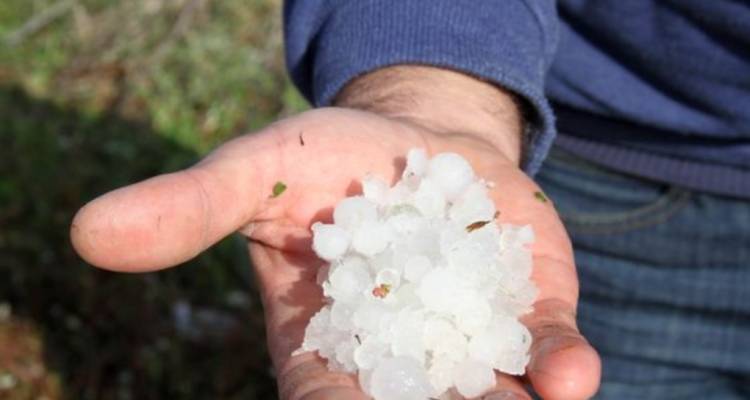 ΕΛΓΑ: Σε εφαρμογή η νέα σύμβαση για την προστασία από το χαλάζι