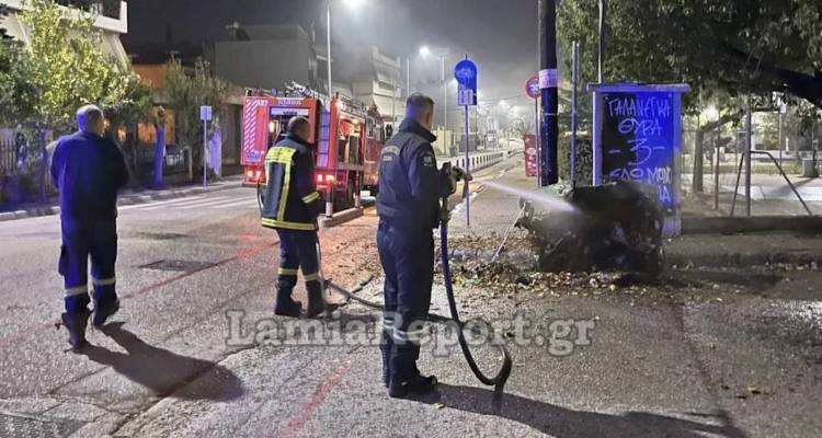 &Lambda;&alpha;&mu;ί&alpha;: &Epsilon;&pi;&iota;&kappa;ί&nu;&delta;&upsilon;&nu;&alpha; &laquo;&pi;&alpha;&iota;&chi;&nu;ί&delta;&iota;&alpha;&raquo; &nu;&epsilon;&alpha;&rho;ώ&nu; &kappa;&omicron;&upsilon;&kappa;&omicron;&upsilon;&lambda;&omicron;&phi;ό&rho;&omega;&nu; -&Beta;ά&zeta;&omicron;&upsilon;&nu; &phi;&omega;&tau;&iota;έ&sigmaf; &sigma;&epsilon; &kappa;ά&delta;&omicron;&upsilon;&sigmaf; &alpha;&pi;&omicron;&rho;&rho;&iota;&mu;&mu;ά&tau;&omega;&nu; [&beta;ί&nu;&tau;&epsilon;&omicron;-&epsilon;&iota;&kappa;ό&nu;&epsilon;&sigmaf;]
