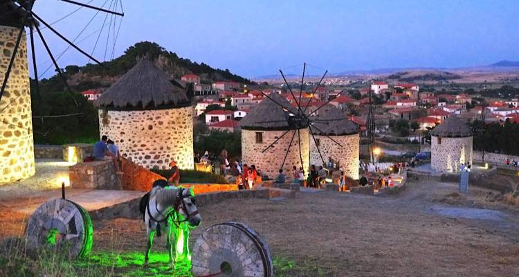 Ανησυχία από κατοίκους του Κοντιά για τα συνεχή κρούσματα νεκρών αδέσποτων ζώων