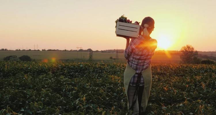 &Delta;&epsilon;ύ&tau;&epsilon;&rho;&eta; &epsilon;&upsilon;&kappa;&alpha;&iota;&rho;ί&alpha; &sigma;&tau;&omicron;&upsilon;&sigmaf; &alpha;&gamma;&rho;ό&tau;&epsilon;&sigmaf; &gamma;&iota;&alpha; &chi;&alpha;&mu;&eta;&lambda;ό&tau;&epsilon;&rho;&alpha; &tau;έ&lambda;&eta; &sigma;&tau;&omicron;&upsilon;&sigmaf; &lambda;&omicron;&gamma;&alpha;&rho;&iota;&alpha;&sigma;&mu;&omicron;ύ&sigmaf; &rho;&epsilon;ύ&mu;&alpha;&tau;&omicron;&sigmaf;
