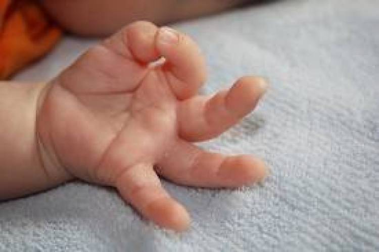 Ημέρα του - δεν κάνω τίποτα - 16 Ιανουαρίου 2013