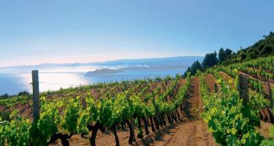 &Lambda;ή&mu;&nu;&omicron;&sigmaf;: &Epsilon;&pi;&iota;&sigma;&tau;&omicron;&lambda;ή &tau;&eta;&sigmaf; &laquo;Έ&nu;&omega;&sigma;&eta;&sigmaf;&raquo; &gamma;&iota;&alpha; &alpha;&sigma;ά&phi;&epsilon;&iota;&epsilon;&sigmaf; &sigma;&tau;&iota;&sigmaf; &pi;&lambda;&eta;&rho;&omega;&mu;έ&sigmaf; έ&kappa;&tau;&alpha;&kappa;&tau;&eta;&sigmaf; &epsilon;&nu;ί&sigma;&chi;&upsilon;&sigma;&eta;&sigmaf; &sigma;&epsilon; &omicron;&iota;&nu;&omicron;&pi;&alpha;&rho;&alpha;&gamma;&omega;&gamma;&omicron;ύ&sigmaf; &tau;&omicron;&upsilon; &nu;&eta;&sigma;&iota;&omicron;ύ