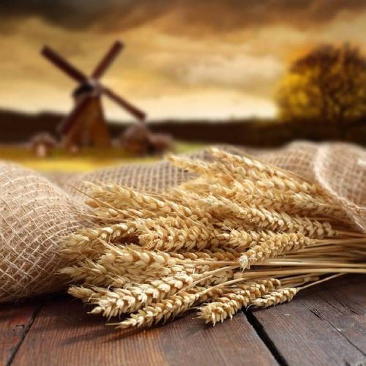 Β-γλυκάνη και μείωση της χοληστερόλης