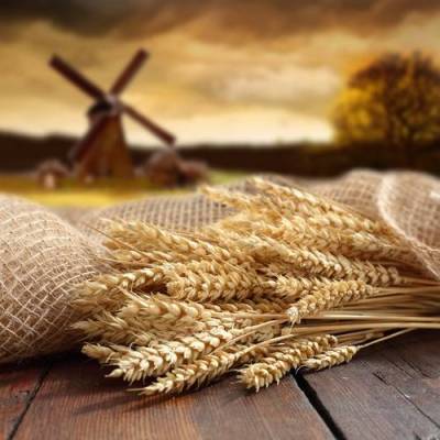 Β-γλυκάνη και μείωση της χοληστερόλης