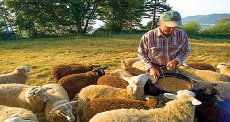 &Pi;&rho;&omicron;&sigmaf; &pi;&lambda;&eta;&rho;&omega;&mu;ή &delta;&iota;&kappa;&alpha;&iota;&omicron;ύ&chi;&omicron;&iota; &beta;&iota;&omicron;&lambda;&omicron;&gamma;&iota;&kappa;ή&sigmaf; &kappa;&tau;&eta;&nu;&omicron;&tau;&rho;&omicron;&phi;ί&alpha;&sigmaf; &sigma;&epsilon; &Lambda;έ&sigma;&beta;&omicron; &kappa;&alpha;&iota; &Lambda;ή&mu;&nu;&omicron;