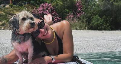 &Eta; &Lambda;έ&nu;&alpha; &Mu;&alpha;&nu;&delta;&alpha;&nu;&iota;&sigma;&iota;ώ&tau;&eta; &xi;έ&rho;&epsilon;&iota; &pi;&omicron;&iota;&omicron;&sigmaf; έ&beta;&alpha;&lambda;&epsilon; &phi;ό&lambda;&epsilon;&sigmaf; &sigma;&tau;&eta;&nu; &Kappa;ύ&theta;&nu;&omicron; &kappa;&alpha;&iota; &sigma;&kappa;ό&tau;&omega;&sigma;&epsilon; &tau;&omicron;&nu; &sigma;&kappa;ύ&lambda;&omicron; &tau;&eta;&sigmaf;