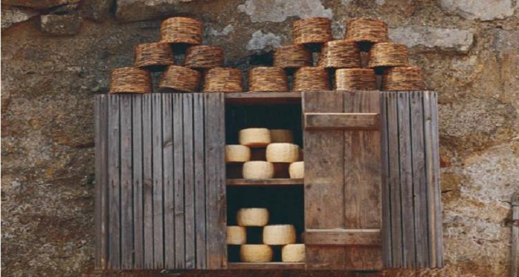 &Alpha;&nu;&epsilon;&mu;ό&epsilon;&sigma;&sigma;&alpha;: &Kappa;&alpha;&tau;ά&theta;&epsilon;&sigma;&eta; &phi;&alpha;&kappa;έ&lambda;&omicron;&upsilon; &gamma;&iota;&alpha; &tau;&eta;&nu; &kappa;&alpha;&tau;&alpha;&chi;ώ&rho;&eta;&sigma;&eta; &tau;&omicron;&upsilon; &Mu;&epsilon;&lambda;ί&chi;&lambda;&omega;&rho;&omicron;&upsilon;/&Mu;&epsilon;&lambda;ί&pi;&alpha;&sigma;&tau;&omicron;&upsilon; &omega;&sigmaf; &Pi;.&Omicron;.&Pi;.